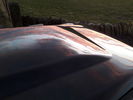Filename : 20191229_160753.jpg
Filesize : 793KB
Dimensions : 1750x1313
Date added : Dec 30, 2019 20191229_160753.jpg