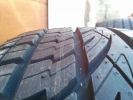 Filename : 1 (14).jpg
Filesize : 1574KB
Dimensions : 3264x2448
Date added : Apr 16, 2014 1 (14).jpg