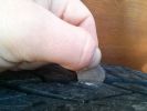 Filename : 1 (9).jpg
Filesize : 1379KB
Dimensions : 3264x2448
Date added : Apr 16, 2014 1 (9).jpg