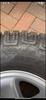 IMG_6261.png