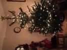 Filename : image~21.jpg
Filesize : 1272KB
Dimensions : 3264x2448
Date added : Dec 08, 2014 image~21.jpg