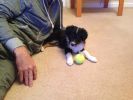 Filename : image~9.jpg
Filesize : 882KB
Dimensions : 2048x1536
Date added : Aug 09, 2014 image~9.jpg