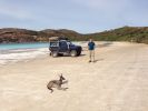 Filename : roobeach.jpg
Filesize : 1115KB
Dimensions : 3264x2448
Date added : Sep 16, 2014 roobeach.jpg