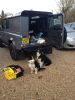 dog guard 1.JPG