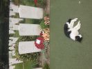 Filename : IMG_8252.JPG
Filesize : 2441KB
Dimensions : 3264x2448
Date added : Aug 08, 2015 IMG_8252.JPG