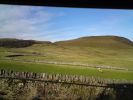 Filename : DSC00716.JPG
Filesize : 968KB
Dimensions : 2592x1944
Date added : Dec 27, 2012 DSC00716.JPG