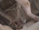 Filename : DSCN0851.JPG
Filesize : 331KB
Dimensions : 1750x1312
Date added : Feb 26, 2016 DSCN0851.JPG