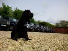 Filename : IMG_20160519_104922.jpg
Filesize : 646KB
Dimensions : 1750x1312
Date added : Jul 19, 2016 IMG_20160519_104922.jpg