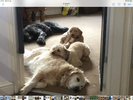 Filename : 7146F8B3-F40F-4416-B78F-0DC21A84C0F1.png
Filesize : 9132KB
Dimensions : 2732x2048
Date added : Jan 13, 2021 7146F8B3-F40F-4416-B78F-0DC21A84C0F1.png