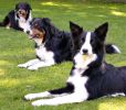 Filename : image~0.jpeg
Filesize : 831KB
Dimensions : 1901x1655
Date added : Dec 26, 2015 image~0.jpeg