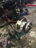 Filename : IMG_0825.JPG
Filesize : 1312KB
Dimensions : 1750x2333
Date added : Dec 22, 2018 IMG_0825.JPG