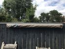 Filename : 695B35C7-AE83-48B2-A96E-9A923C3817FF.jpeg
Filesize : 1027KB
Dimensions : 1750x1313
Date added : Jul 22, 2018 695B35C7-AE83-48B2-A96E-9A923C3817FF.jpeg