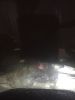 Filename : IMG_0968.JPG
Filesize : 628KB
Dimensions : 1750x2333
Date added : Mar 02, 2018 IMG_0968.JPG