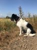 Filename : 7746bfed-a4a1-4865-9694-acfb36ce7dfb.jpg
Filesize : 454KB
Dimensions : 1200x1600
Date added : Jul 25, 2018 7746bfed-a4a1-4865-9694-acfb36ce7dfb.jpg