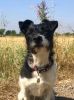 Filename : EYQWE0525.JPG
Filesize : 178KB
Dimensions : 533x712
Date added : Jul 25, 2018 EYQWE0525.JPG