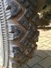 Filename : fullsizeoutput_e35.jpeg
Filesize : 1834KB
Dimensions : 1750x2333
Date added : Feb 11, 2018 fullsizeoutput_e35.jpeg