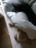 Filename : 20161112_083142.jpg
Filesize : 685KB
Dimensions : 1750x2333
Date added : Dec 02, 2016 20161112_083142.jpg