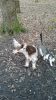 Filename : 2015-03-11 06.56.26.jpg
Filesize : 1421KB
Dimensions : 1676x2981
Date added : Mar 11, 2015 2015-03-11 06.56.26.jpg