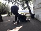 Filename : praha baby.jpg
Filesize : 227KB
Dimensions : 960x720
Date added : Jun 23, 2019 praha baby.jpg
