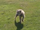 Filename : 007.JPG
Filesize : 3510KB
Dimensions : 4288x3216
Date added : Oct 29, 2014 007.JPG