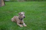 Filename : DSC_0017.JPG
Filesize : 3204KB
Dimensions : 4608x3072
Date added : Oct 29, 2014 DSC_0017.JPG