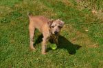 Filename : DSC_0265.JPG
Filesize : 4207KB
Dimensions : 4608x3072
Date added : Oct 20, 2014 DSC_0265.JPG