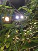 Filename : image~130.jpeg
Filesize : 857KB
Dimensions : 1536x2048
Date added : Nov 17, 2016 image~130.jpeg