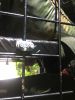 Filename : image~99.jpeg
Filesize : 622KB
Dimensions : 1536x2048
Date added : Jul 13, 2016 image~99.jpeg