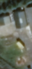 Filename : Screenshot+2021-04-13+at+13.29.20.png
Filesize : 221KB
Dimensions : 282x608
Date added : Apr 13, 2021 Screenshot+2021-04-13+at+13.29.20.png
