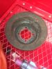 Filename : IMG_4734.JPG
Filesize : 1190KB
Dimensions : 1750x2333
Date added : Jul 31, 2018 IMG_4734.JPG
