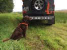 Filename : OT_Wildwanne_15.JPG
Filesize : 339KB
Dimensions : 1024x768
Date added : Nov 26, 2017 OT_Wildwanne_15.JPG