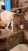 Filename : received_10156233515666978.jpeg
Filesize : 288KB
Dimensions : 1152x2048
Date added : Jun 11, 2017 received_10156233515666978.jpeg