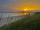 Filename : 16672472-7979-47A4-AA20-23C83AEDC6AA.jpeg
Filesize : 750KB
Dimensions : 1750x1313
Date added : Sep 07, 2021 16672472-7979-47A4-AA20-23C83AEDC6AA.jpeg