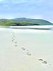Filename : BD2B1207-20B5-41D5-BF7B-632F7F0EB661.jpeg
Filesize : 1501KB
Dimensions : 1750x2333
Date added : Sep 09, 2021 BD2B1207-20B5-41D5-BF7B-632F7F0EB661.jpeg