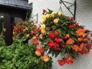 Filename : image~1.jpeg
Filesize : 136KB
Dimensions : 640x480
Date added : Jul 01, 2016 image~1.jpeg