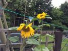 Filename : image~107.jpeg
Filesize : 119KB
Dimensions : 640x480
Date added : Jul 01, 2016 image~107.jpeg