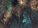 Filename : image~179.jpeg
Filesize : 832KB
Dimensions : 1750x1312
Date added : Oct 11, 2016 image~179.jpeg