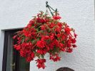 Filename : image~45.jpg
Filesize : 1267KB
Dimensions : 2048x1536
Date added : Jun 29, 2014 image~45.jpg