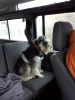 Filename : 20141227_144343.jpg
Filesize : 121KB
Dimensions : 572x762
Date added : Dec 27, 2014 20141227_144343.jpg