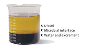 Filename : MICROBIAL-SAMPLE-shadow-0622-600x344-1-1458763750.jpg
Filesize : 42KB
Dimensions : 1000x574
Date added : Jun 22, 2025 MICROBIAL-SAMPLE-shadow-0622-600x344-1-1458763750.jpg