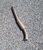 Filename : bullet+2.PNG
Filesize : 5206KB
Dimensions : 1308x1526
Date added : Jun 25, 2022 bullet+2.PNG