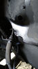 Filename : oilLeak2-1.jpg
Filesize : 364KB
Dimensions : 1080x1920
Date added : Sep 30, 2020 oilLeak2-1.jpg