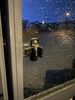 Filename : 24FBD0C5-6593-49D4-8A1A-67502B099BBE.jpeg
Filesize : 1335KB
Dimensions : 1750x2333
Date added : Mar 12, 2022 24FBD0C5-6593-49D4-8A1A-67502B099BBE.jpeg