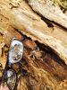 Filename : image~29.jpg
Filesize : 1398KB
Dimensions : 1536x2048
Date added : Aug 08, 2014 image~29.jpg