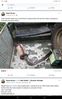 Filename : Screenshot_20201211_081716_com.facebook.katana.jpg
Filesize : 1572KB
Dimensions : 1600x2560
Date added : Dec 19, 2020 Screenshot_20201211_081716_com.facebook.katana.jpg