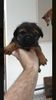 Filename : 2B84B047-36AF-4CAD-88D8-517619B64D65.jpeg
Filesize : 236KB
Dimensions : 750x1334
Date added : Feb 21, 2020 2B84B047-36AF-4CAD-88D8-517619B64D65.jpeg