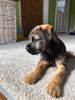 Filename : 4DB02EB0-4D0F-43AD-8B23-16C17B09E614.jpeg
Filesize : 139KB
Dimensions : 768x1024
Date added : Sep 17, 2020 4DB02EB0-4D0F-43AD-8B23-16C17B09E614.jpeg
