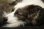 Filename : GEO_5049.jpg
Filesize : 2240KB
Dimensions : 1750x1166
Date added : Nov 30, 2023 GEO_5049.jpg
