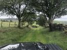 Filename : IMG_0679.jpeg
Filesize : 1197KB
Dimensions : 1750x1313
Date added : Oct 17, 2018 IMG_0679.jpeg
