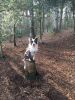 Filename : IMG_2984~0.JPG
Filesize : 1900KB
Dimensions : 1750x2333
Date added : Feb 15, 2017 IMG_2984~0.JPG